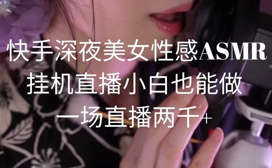 快手深夜美女性感ASMR挂机直播，小白也能做，一场直播两千+-网创星球