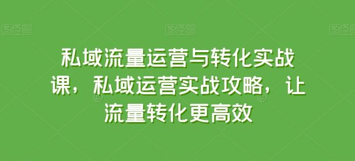 私域流量运营与转化实战课，私域运营实战攻略，让流量转化更高效-网创星球