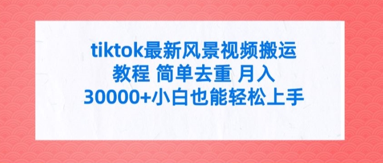 tiktok最新风景视频搬运教程 简单去重 月入3W+小白也能轻松上手【揭秘】-网创星球