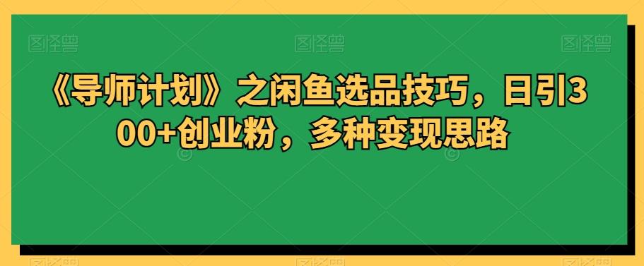 《导师计划》之闲鱼选品技巧，日引300+创业粉，多种变现思路-网创星球
