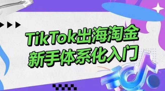 TikTok出海淘金，新手体系化入门，零基础快速入门，掌握短视频、直播带货等引流到变现的知识-网创星球
