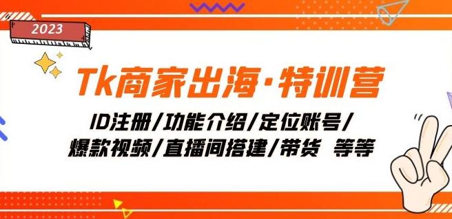 Tk商家出海·特训营：ID注册/功能介绍/定位账号/爆款视频/直播间搭建/带货-网创星球