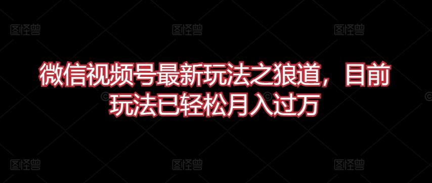 微信视频号最新玩法之狼道，目前玩法已轻松月入过万【揭秘】-网创星球