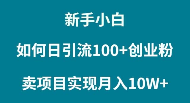 (9556期)新手小白如何通过卖项目实现月入10W+-网创星球