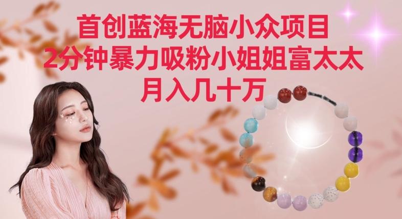 首创蓝海无脑小众项目，2分钟暴力吸粉小姐姐富太太，月入几十万【揭秘】-网创星球