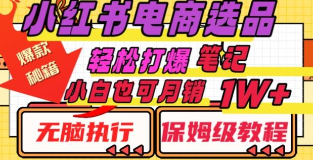 小红书电商爆款选品秘籍，帮你轻松打爆笔记，小白也可轻松月销10000+-网创星球