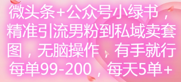 微头条+公众号小绿书，精准引流男粉到私域卖套图，无脑操作，有手就行，每单99-200，每天5单-网创星球
