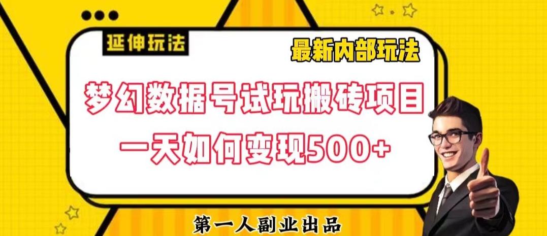 数据号回归玩法游戏试玩搬砖项目再创日入500+【揭秘】-网创星球