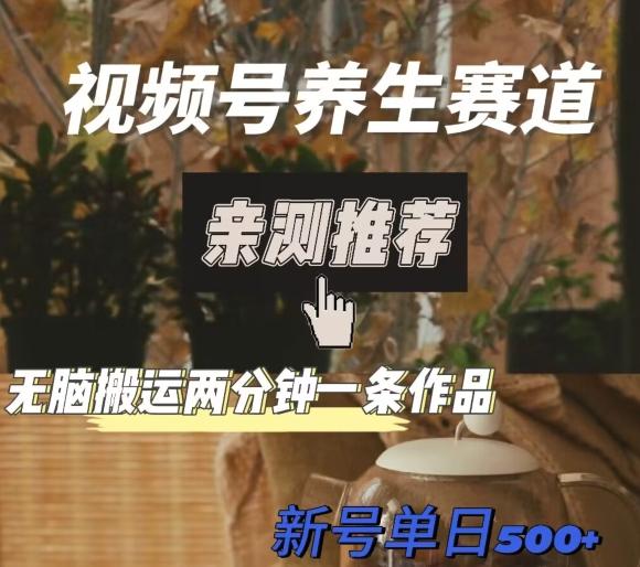 视频号养生赛道暴力掘金，无脑搬运，两分钟一条作品-新日单入500+-网创星球