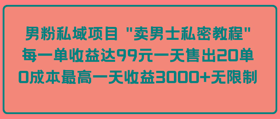 (9730期)男粉私域项目 “卖男士私密教程” 每一单收益达99元一天售出20单-网创星球