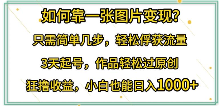 如何靠一张图片变现?只需简单几步，轻松俘获流量，3天起号，作品轻松过原创【揭秘】-网创星球