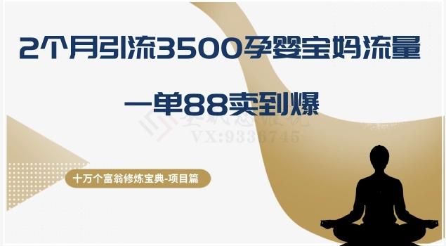十万个富翁修炼宝典之13.2个月引流3500孕婴宝妈流量，一单88卖到爆-网创星球