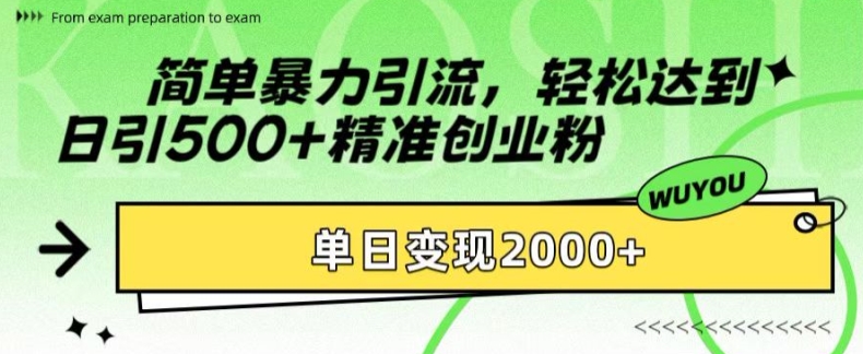 简单暴力引流，轻松达到日引500+精准创业粉，单日变现2k【揭秘】-网创星球
