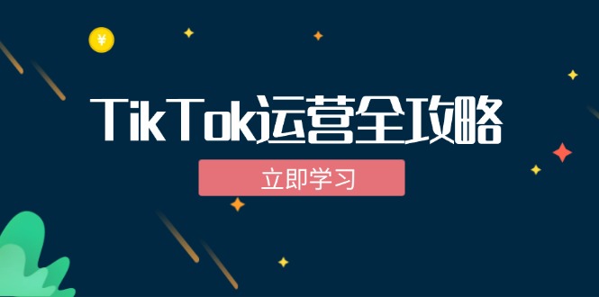 TikTok实战运营全攻略：从下载软件到变现，抖音海外版实操教程-网创星球