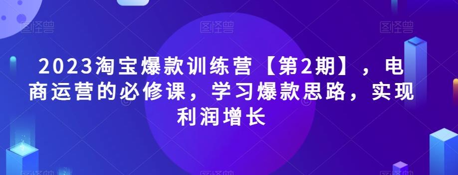 2023淘宝爆款训练营【第2期】，电商运营的必修课，学习爆款思路，实现利润增长-网创星球