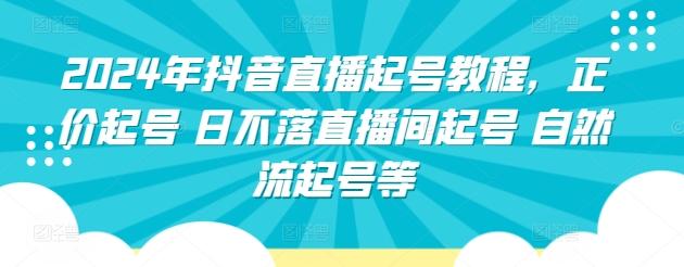 2024年抖音直播起号教程，正价起号 日不落直播间起号 自然流起号等-网创星球