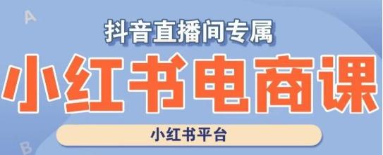 小红书电商高级运营课程，实操教学+案例分析-网创星球