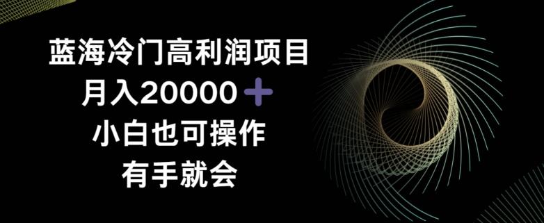 蓝海冷门高利润项目月入2000，小白也可操作有手就会-网创星球