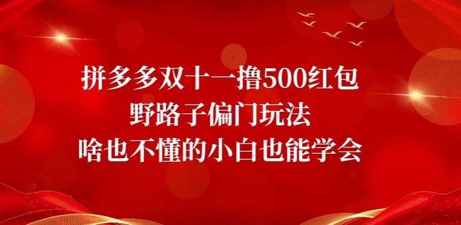 拼多多双十一撸500红包野路子偏门玩法，啥也不懂的小白也能学会【揭秘】-网创星球