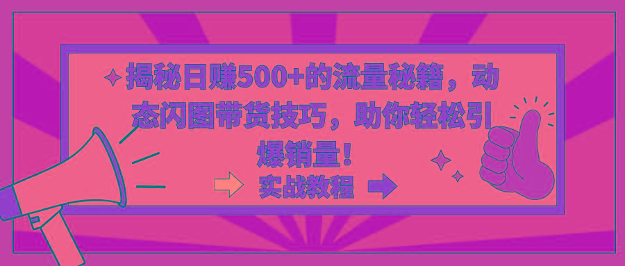 揭秘日赚500+的流量秘籍，动态闪图带货技巧，助你轻松引爆销量！-网创星球